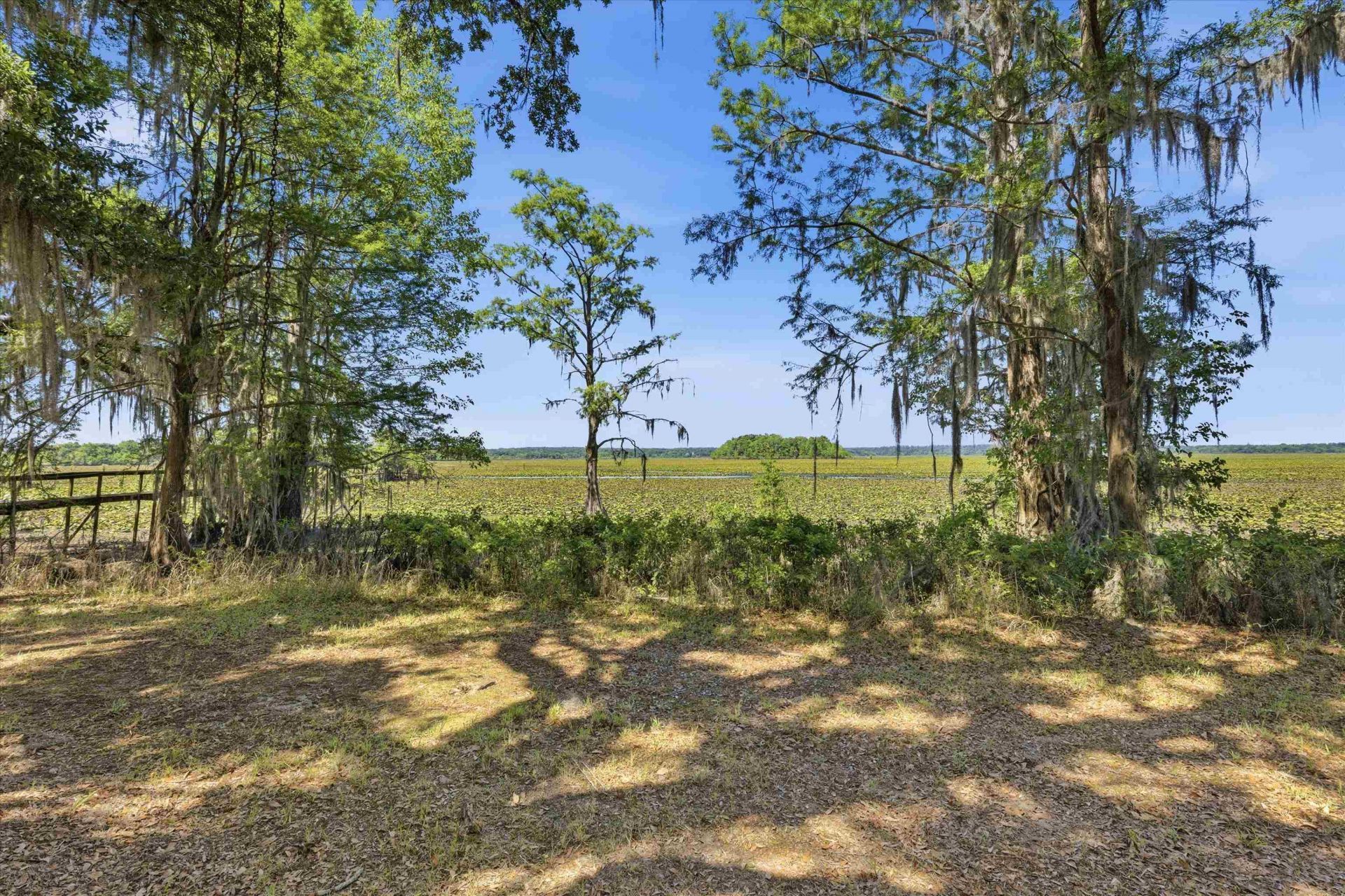10945 Luna Point Road, Tallahassee, FL 32312 Photo