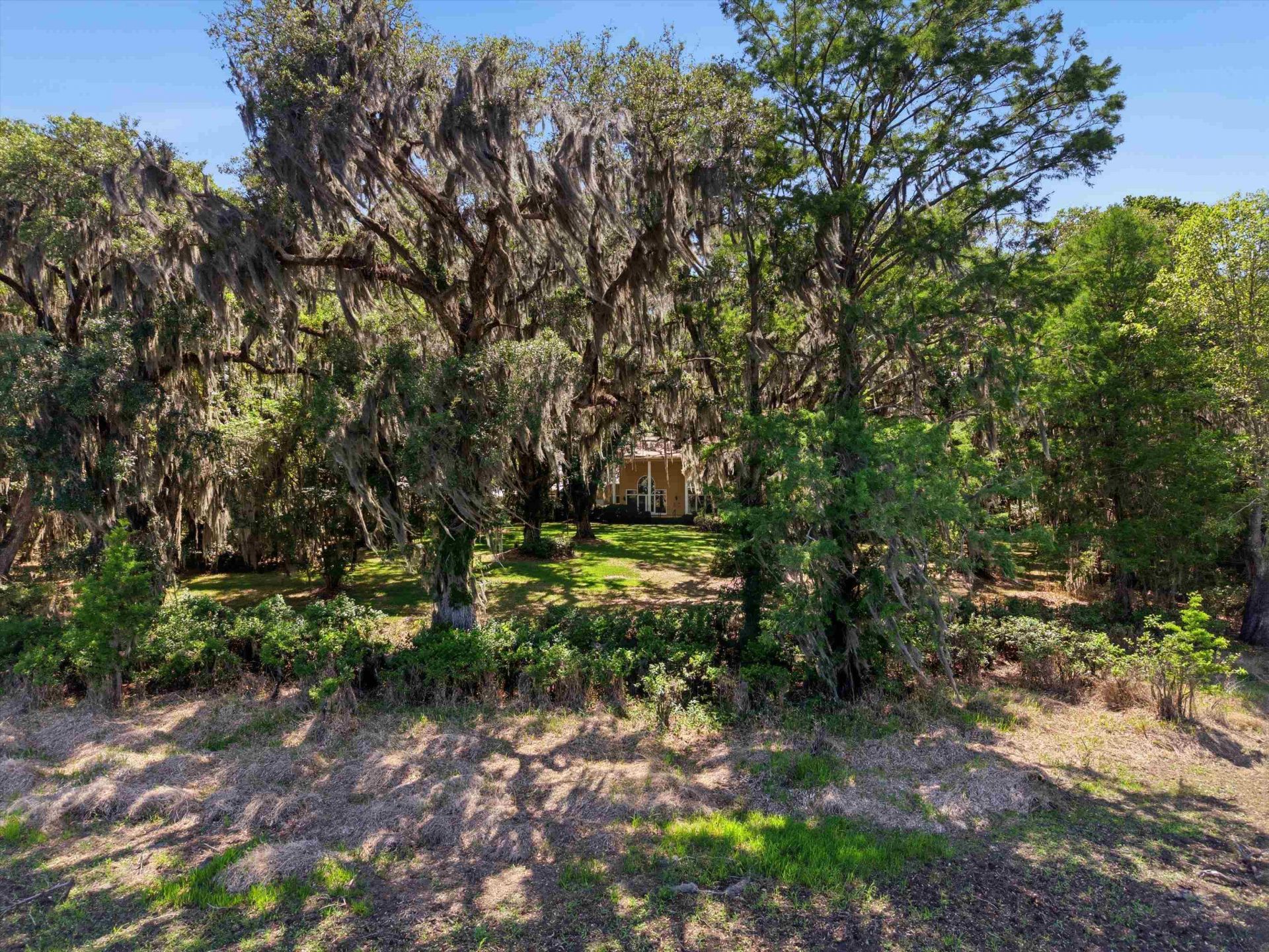 10945 Luna Point Road, Tallahassee, FL 32312 Photo