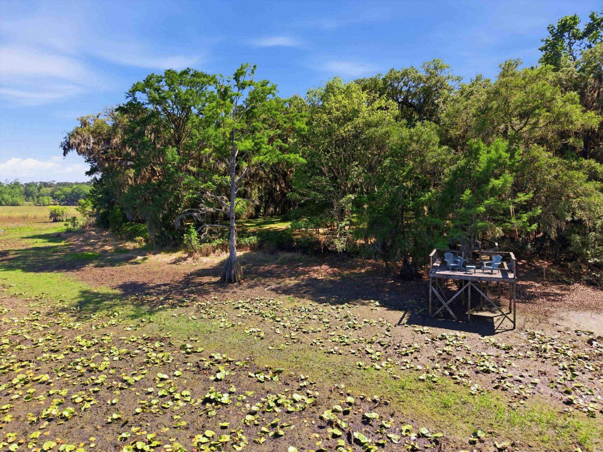 10945 Luna Point Road, Tallahassee, FL 32312 Photo