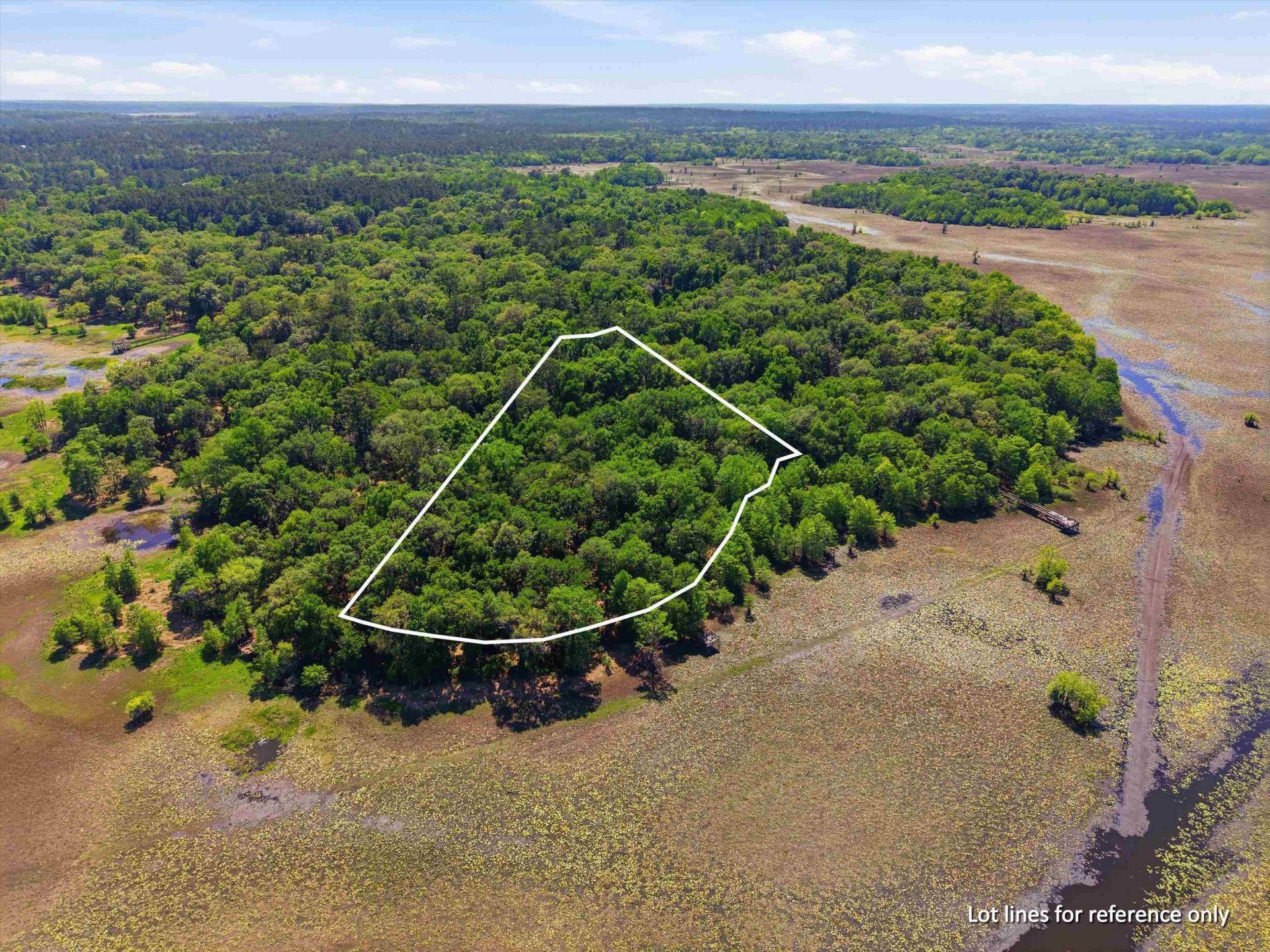 10945 Luna Point Road, Tallahassee, FL 32312 Photo