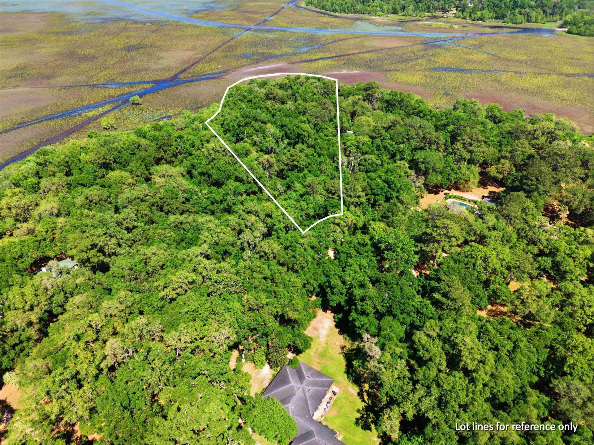 10945 Luna Point Road, Tallahassee, FL 32312 Photo