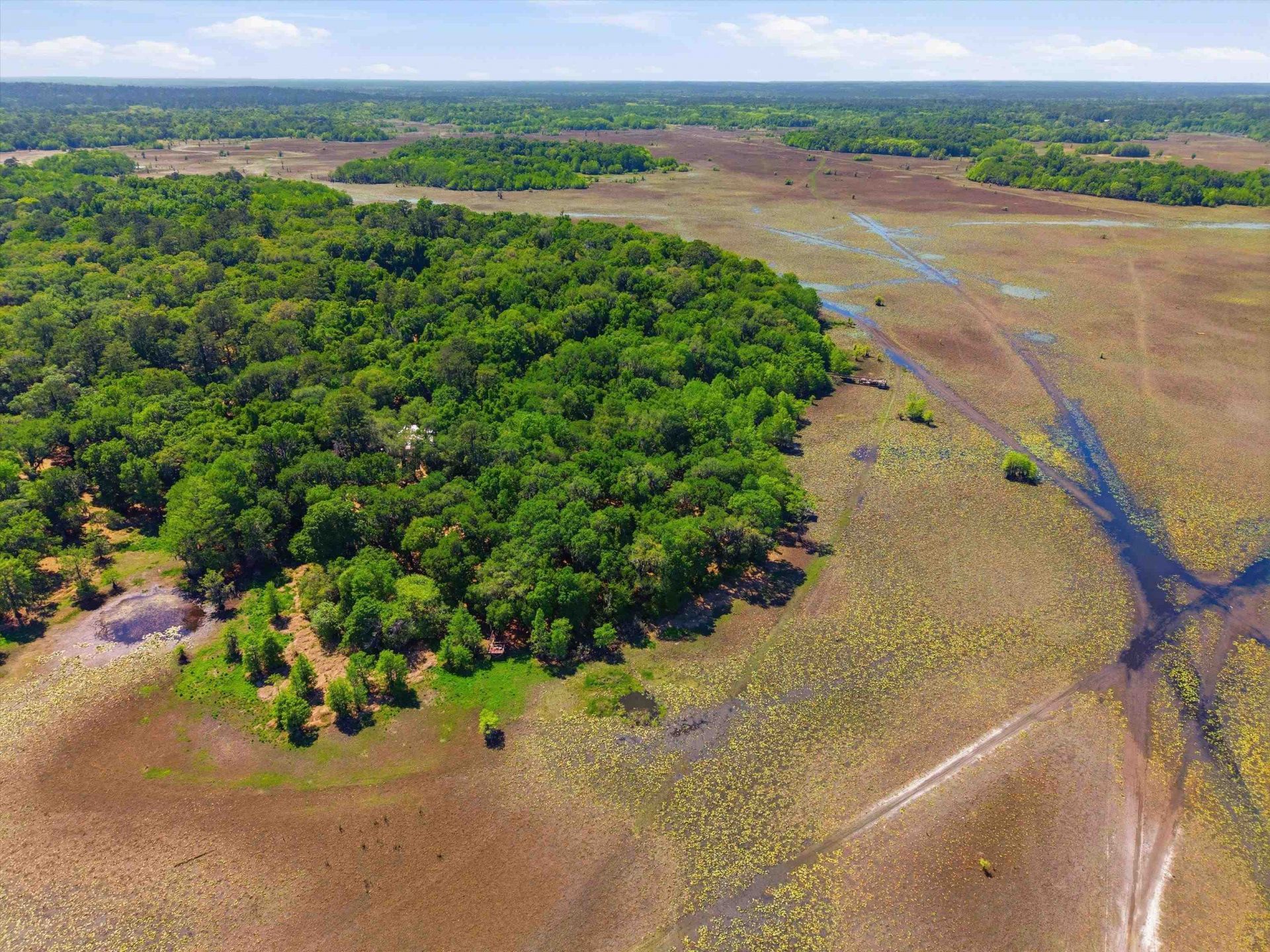 10945 Luna Point Road, Tallahassee, FL 32312 Photo