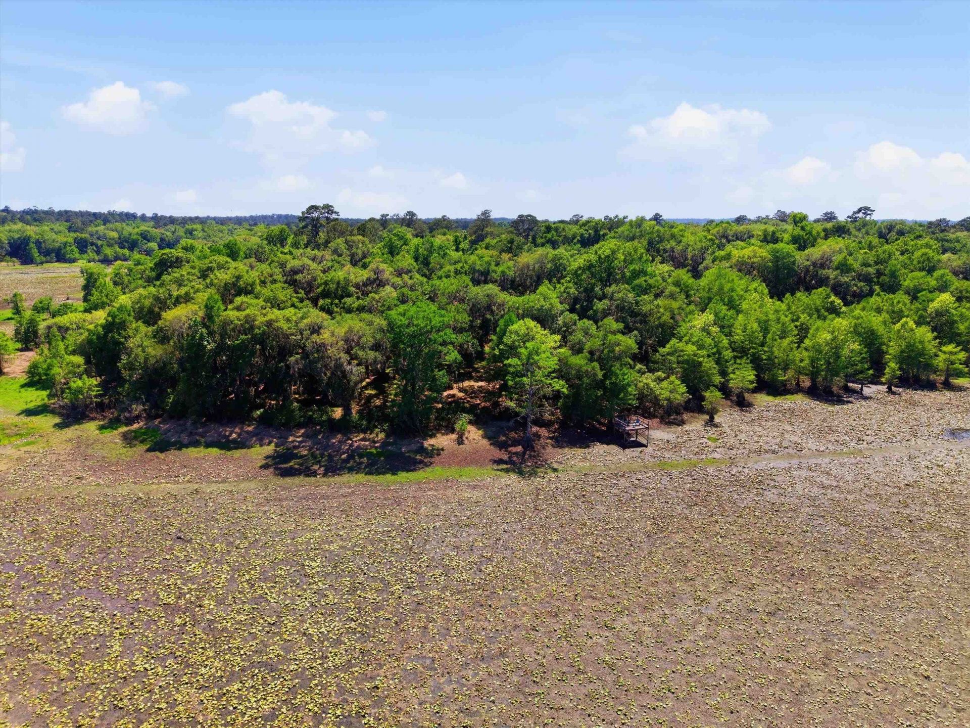 10945 Luna Point Road, Tallahassee, FL 32312 Photo