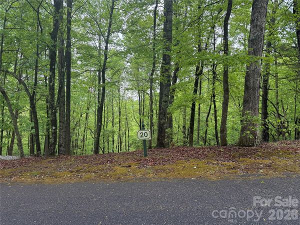 39 Black Bear Ridge Trail , Zirconia, NC 28790