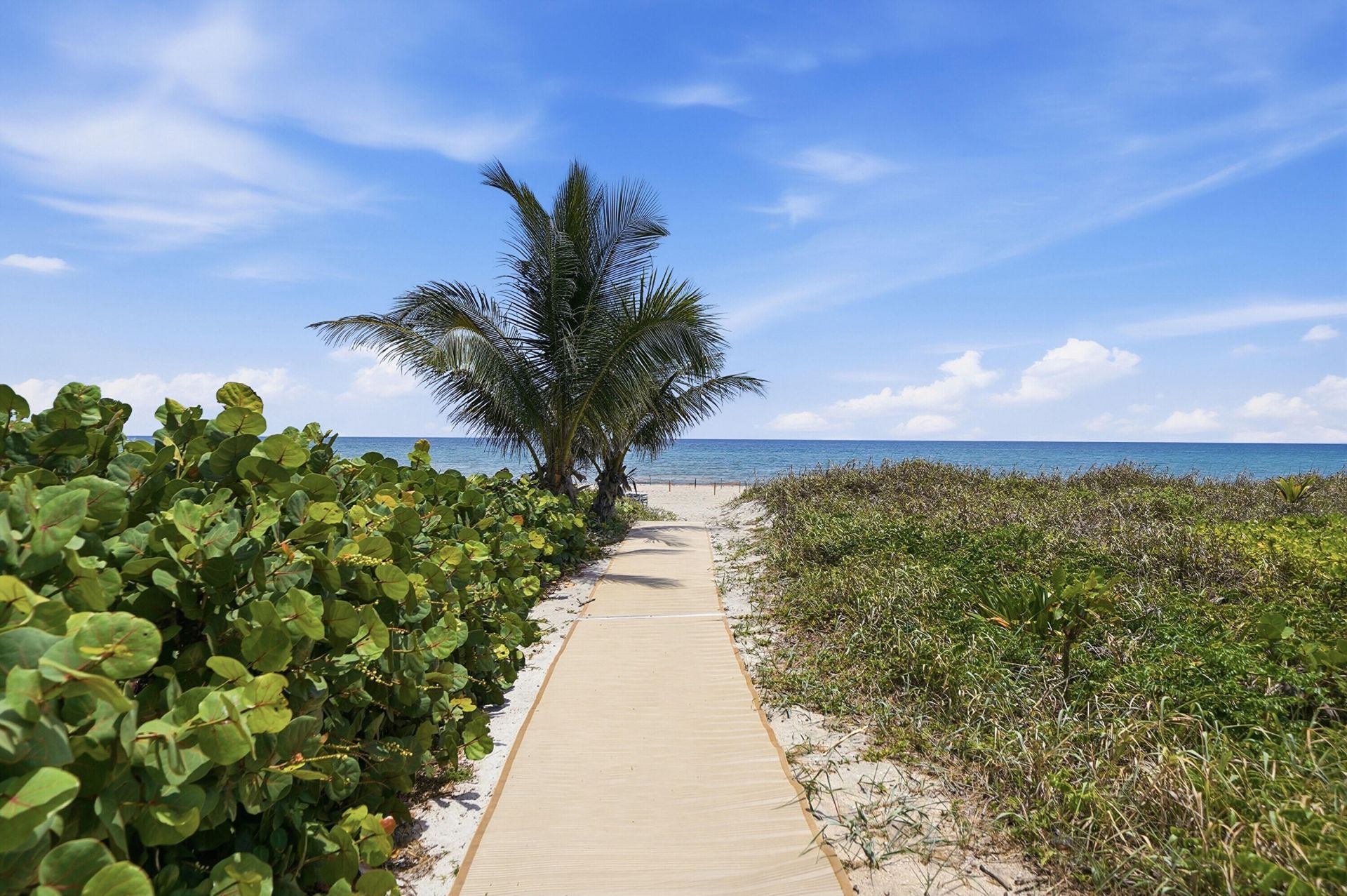 700 S Ocean Boulevard, Unit 803, Boca Raton, FL 33432 Photo