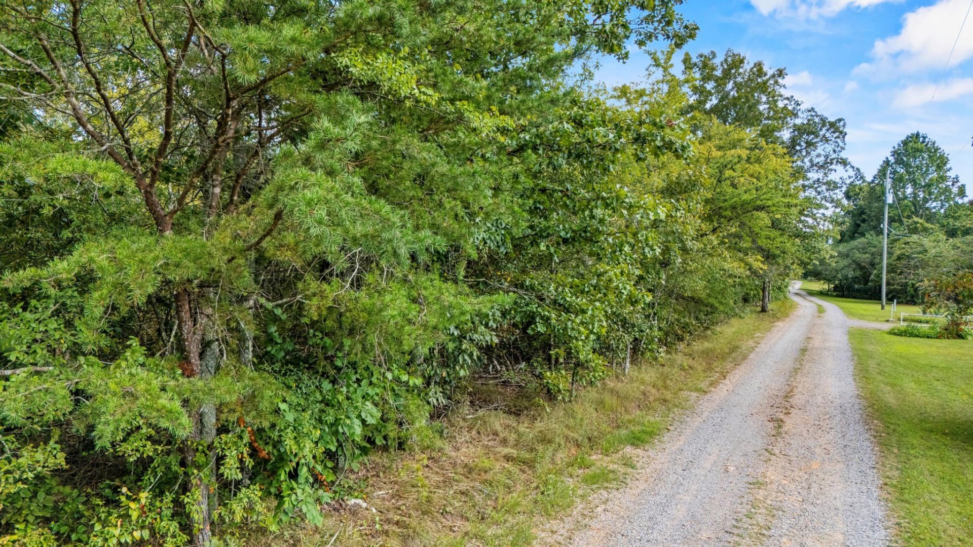 0 Rock Creek Road, Trenton, GA 30752 Main Photo