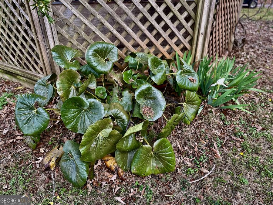 Property Image 54