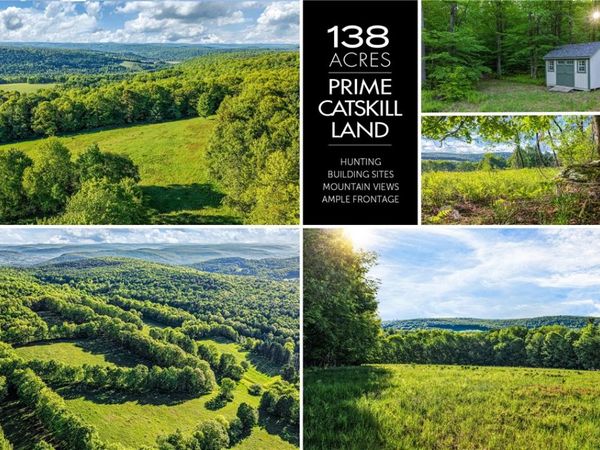 Lots 19, 22, 25 Frank Slawson Road, Oneonta, NY 13820