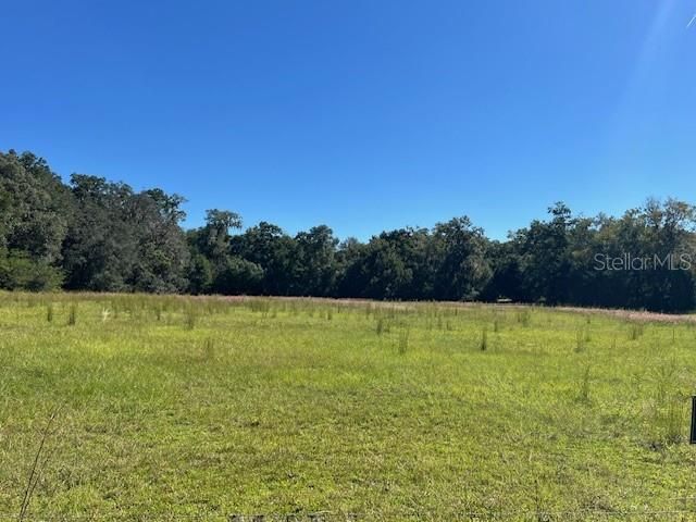 000 NW 27th Avenue , Citra, FL 32113 Photo