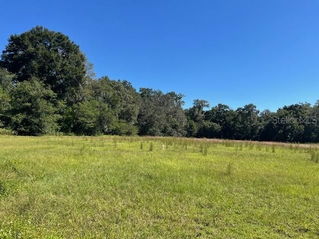 000 NW 27th Avenue , Citra, FL 32113 Photo