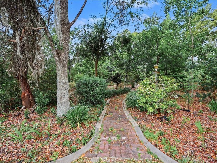 Property Image 46