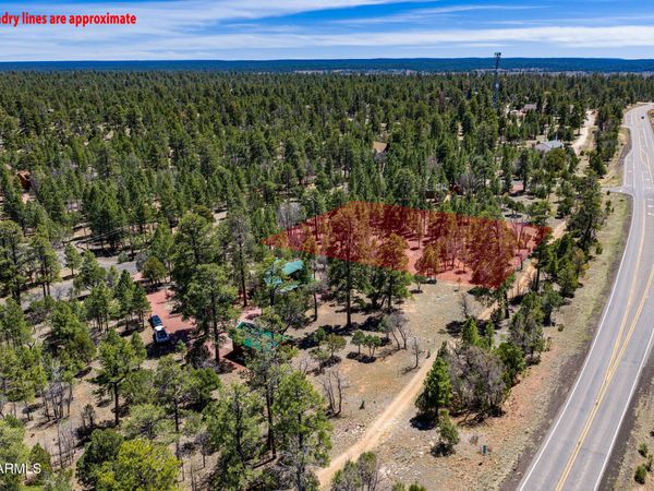 2118 SADDLE BLANKET Road, Unit 29, Happy Jack, AZ 86024