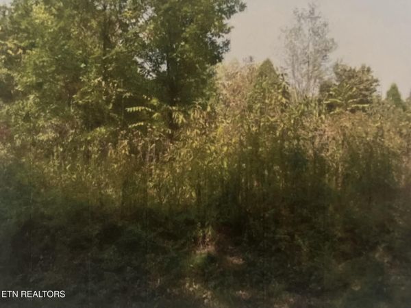 141 Amohi Way, Loudon, TN 37774