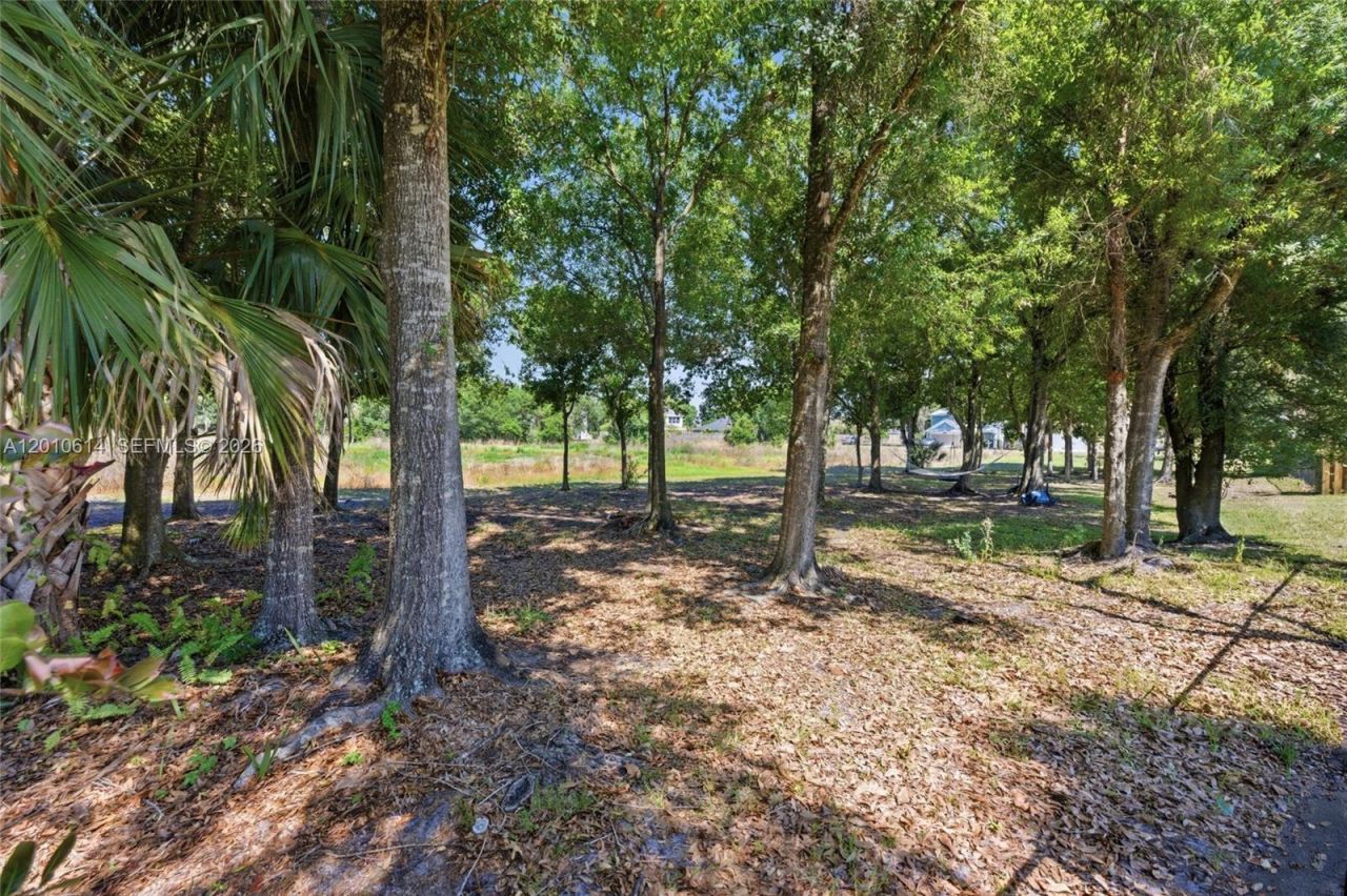 3117 SW Solitaire Palm Dr, Palm City, FL 34990 Photo