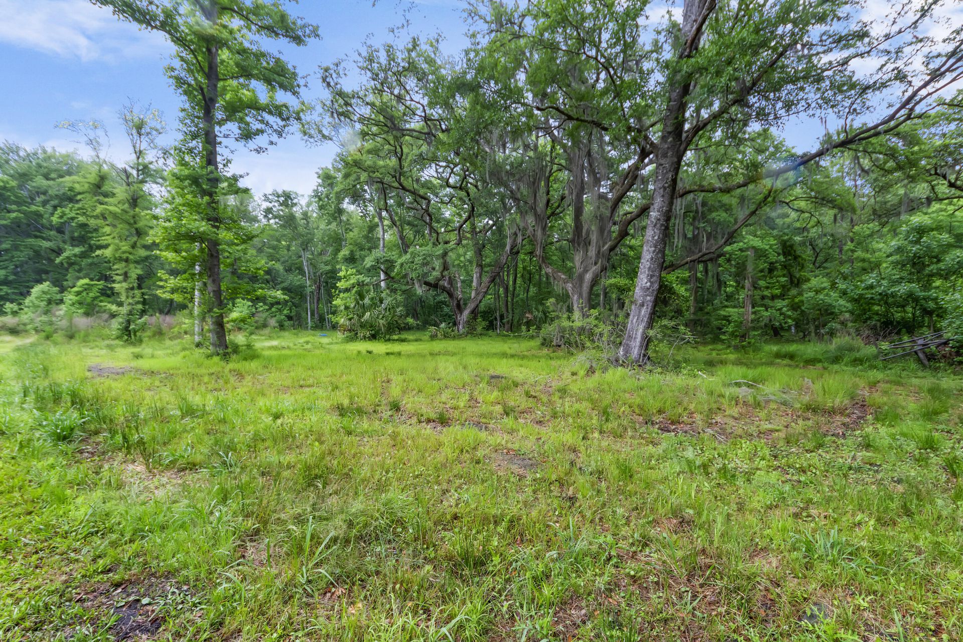 7855 Mary Seabrook Road Photo 39
