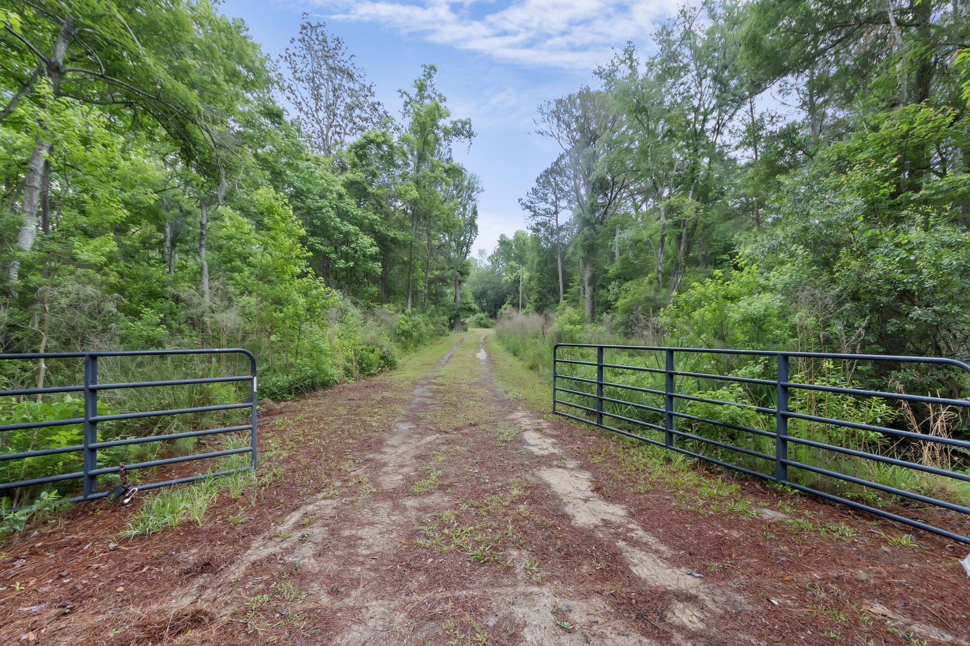 7855 Mary Seabrook Road Photo 42