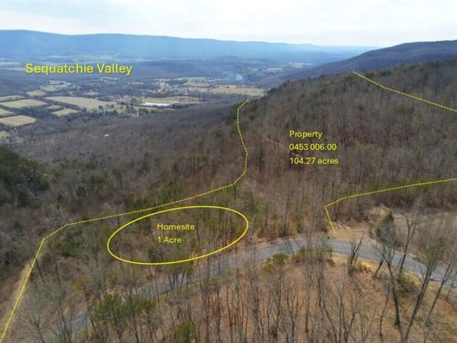 Property Image 11