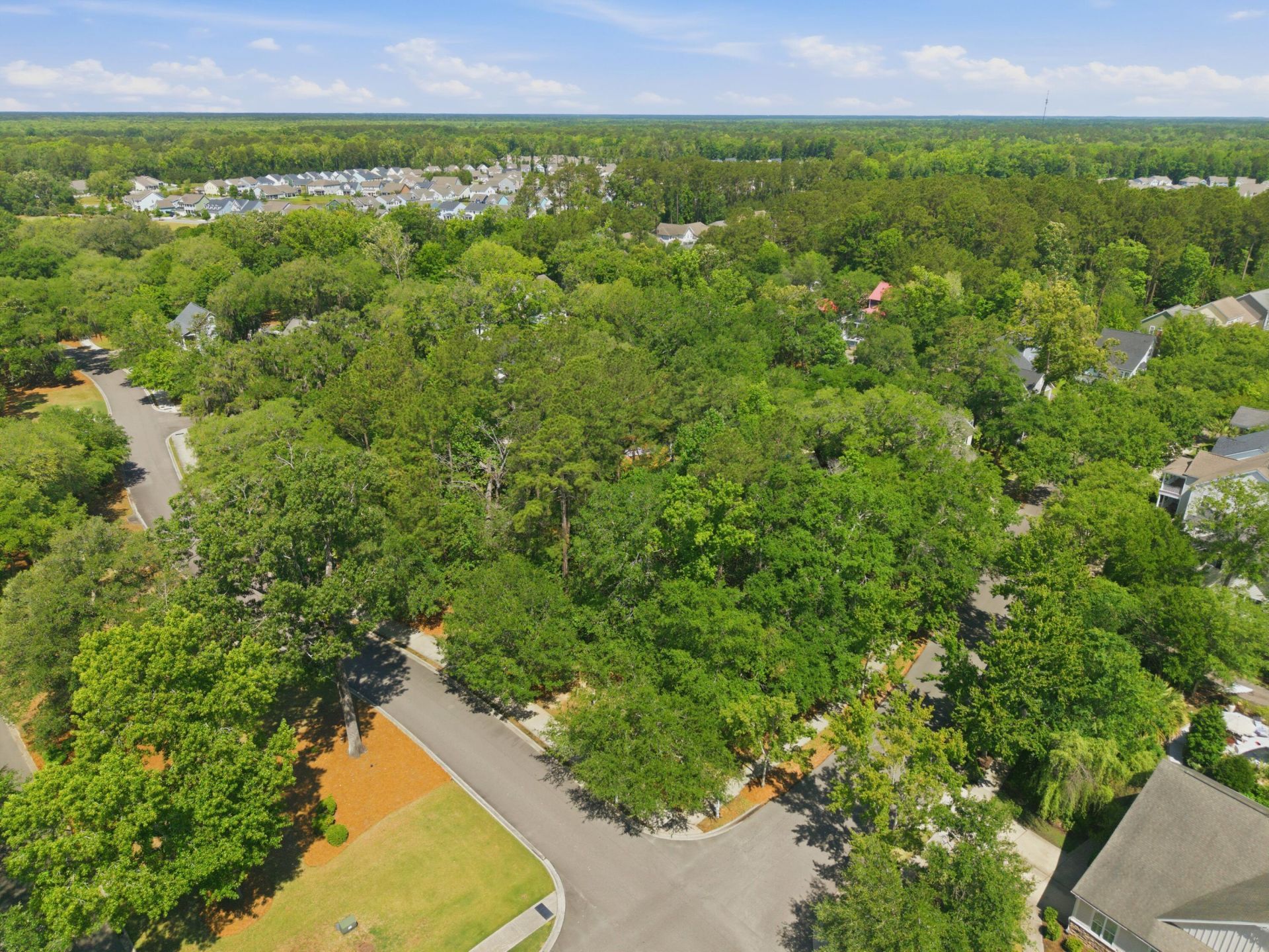 316 Hundred Oaks Parkway Photo 4