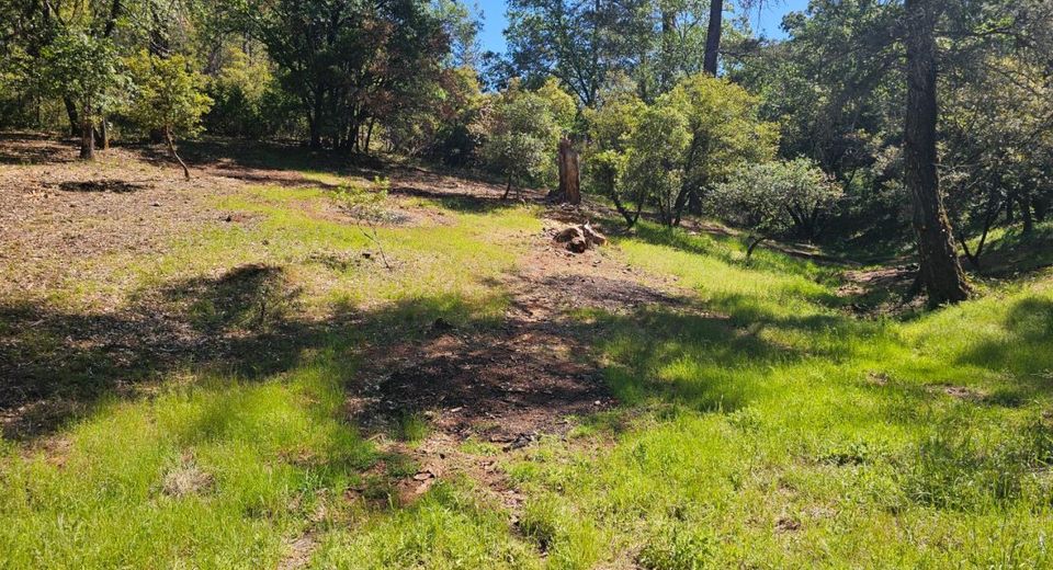 19730 Wedemeyer Pl, Weimar, CA 95713 Photo