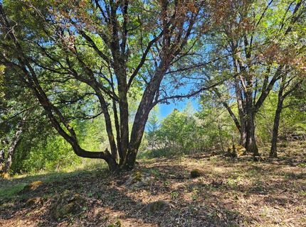 19730 Wedemeyer Pl, Weimar, CA 95713 Photo