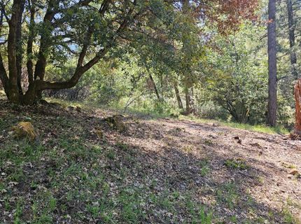 19730 Wedemeyer Pl, Weimar, CA 95713 Photo