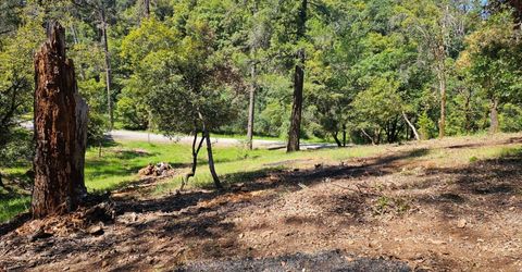 19730 Wedemeyer Pl, Weimar, CA 95713 Photo