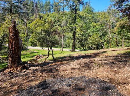 19730 Wedemeyer Pl, Weimar, CA 95713 Photo
