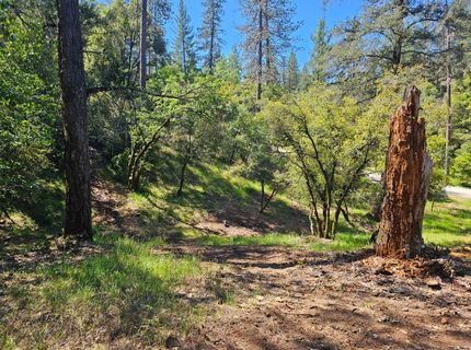 19730 Wedemeyer Pl, Weimar, CA 95713 Photo