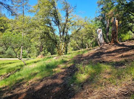 19730 Wedemeyer Pl, Weimar, CA 95713 Photo