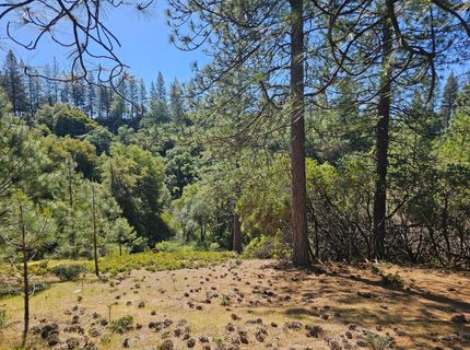 19730 Wedemeyer Pl, Weimar, CA 95713 Photo