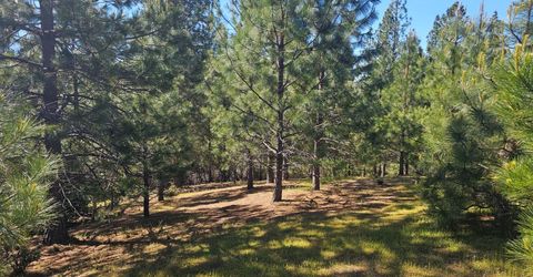 19730 Wedemeyer Pl, Weimar, CA 95713 Photo