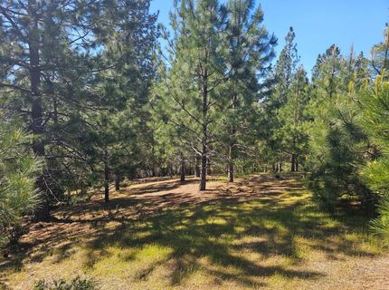 19730 Wedemeyer Pl, Weimar, CA 95713 Photo