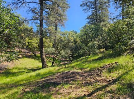 19730 Wedemeyer Pl, Weimar, CA 95713 Photo
