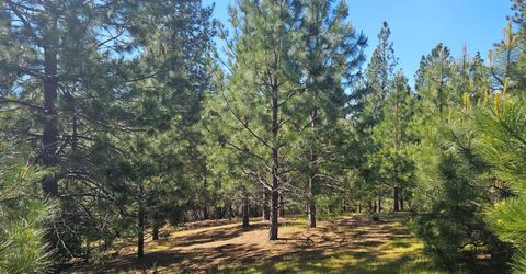19730 Wedemeyer Pl, Weimar, CA 95713 Photo