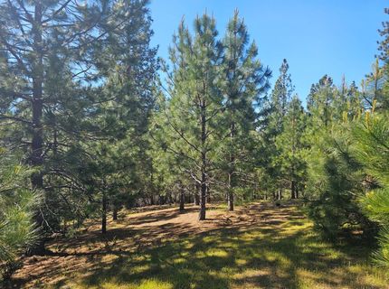 19730 Wedemeyer Pl, Weimar, CA 95713 Photo