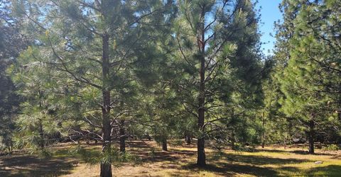 19730 Wedemeyer Pl, Weimar, CA 95713 Photo