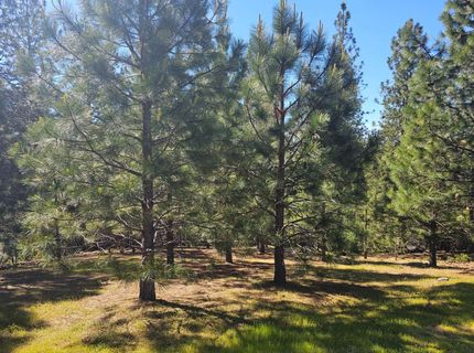 19730 Wedemeyer Pl, Weimar, CA 95713 Photo