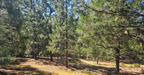 19730 Wedemeyer Pl, Weimar, CA 95713 Photo