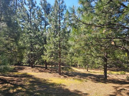 19730 Wedemeyer Pl, Weimar, CA 95713 Photo