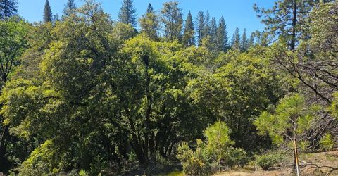 19730 Wedemeyer Pl, Weimar, CA 95713 Photo