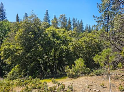 19730 Wedemeyer Pl, Weimar, CA 95713 Photo