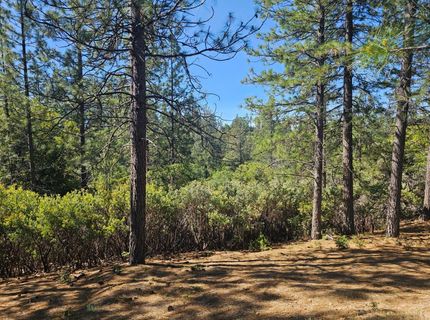 19730 Wedemeyer Pl, Weimar, CA 95713 Photo