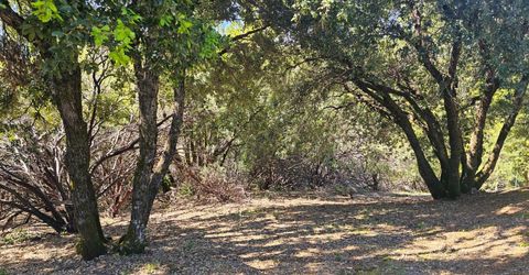 19730 Wedemeyer Pl, Weimar, CA 95713 Photo