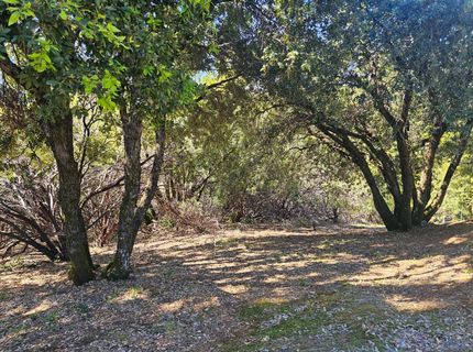 19730 Wedemeyer Pl, Weimar, CA 95713 Photo