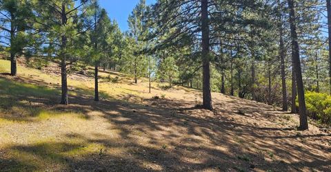 19730 Wedemeyer Pl, Weimar, CA 95713 Photo