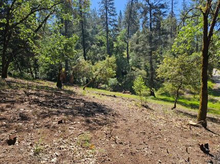 19730 Wedemeyer Pl, Weimar, CA 95713 Photo