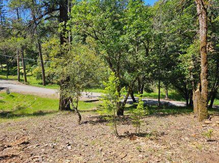 19730 Wedemeyer Pl, Weimar, CA 95713 Photo