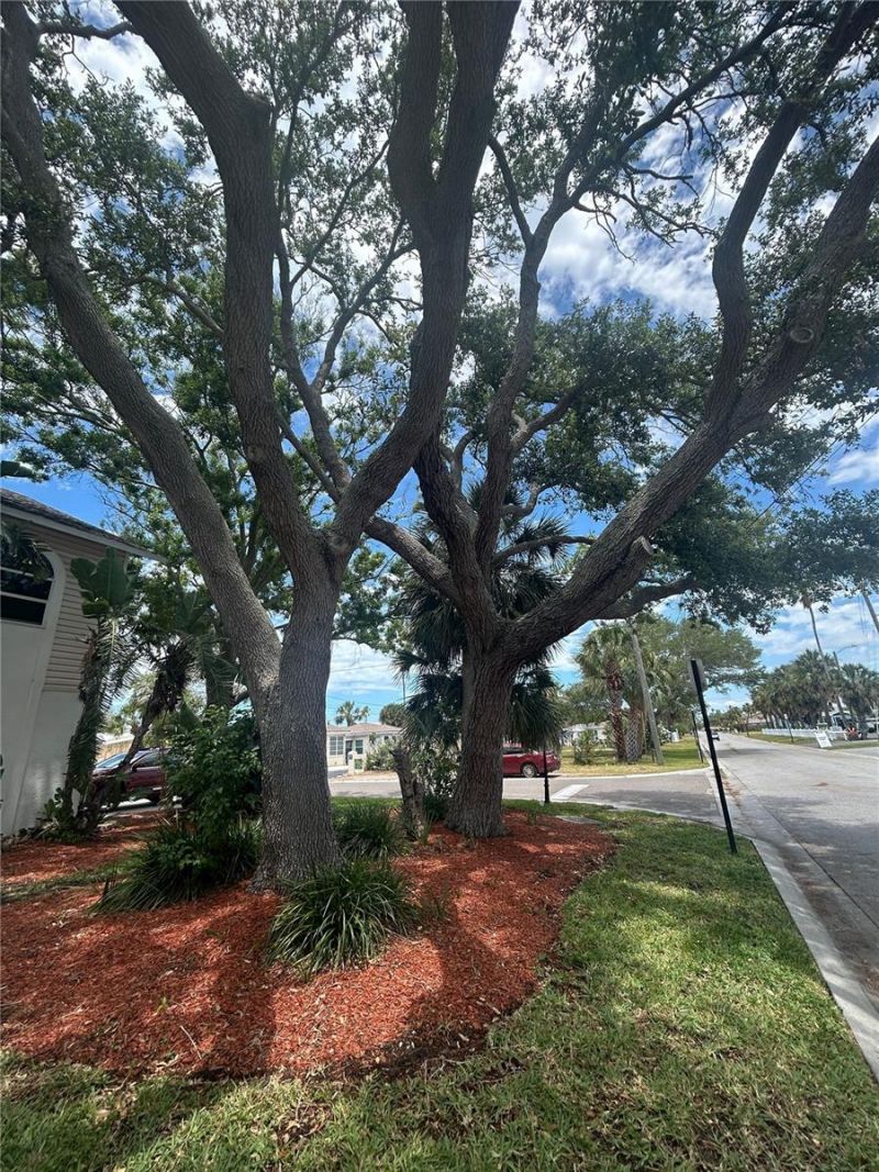 1612 1st St , Indian Rocks Beach, FL 33785 Photo