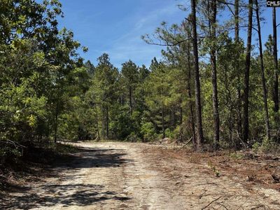 0 Sawyer Road , Monetta, SC 29105