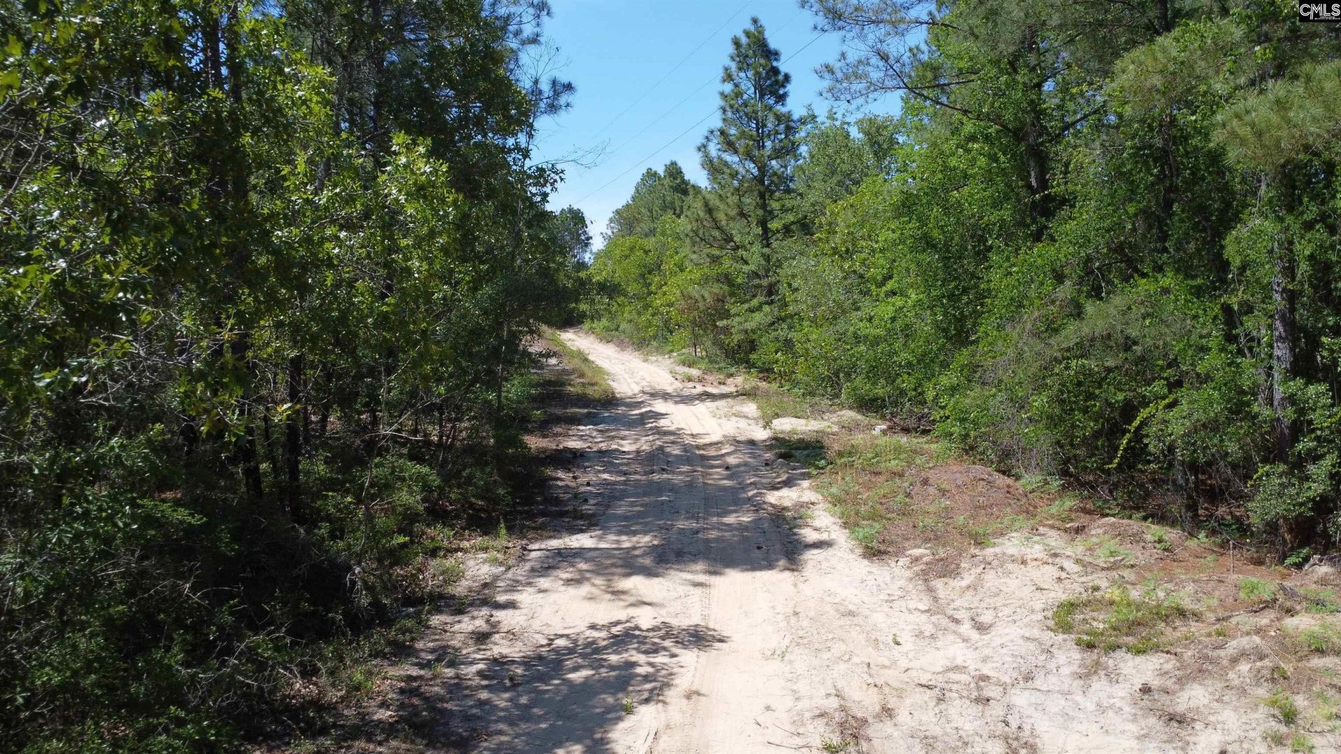 0 Sawyer Road  Photo 12
